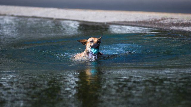 El tiempo en Rosario: martes de nubes, algo de viento y calor infernal