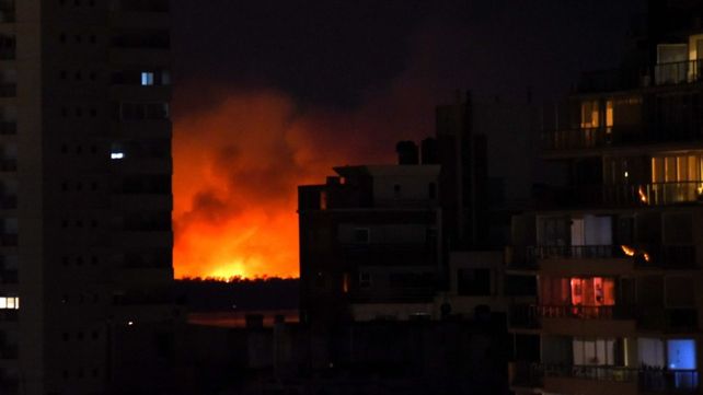 Los incendios en las islas se hicieron visibles el último viernes y este lunes la ciudad se convirtió en irrespirable. (Foto: Subsecretaría de Comunicación Social / Silvio Moriconi)
