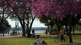 El tiempo en Rosario: miércoles con cielo despejado y máxima de 25 grados