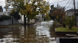Según la municipalidad