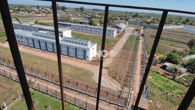 Hallaron más droga, cultivo de marihuana, teléfonos celulares y 240 chuzas en las nuevas requisas en la cárcel de Las Flores