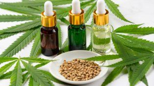 La manera de obtener aceite de cannabis
