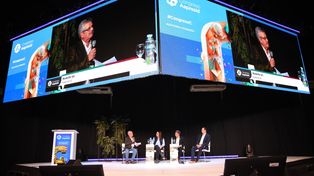 Las reservas de carbono en Argentina están al 46% de su potencial