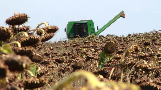 Condenan a empresa agropecuaria a indemnizar a obreros por explotación laboral en Santa Fe