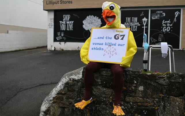 Un residente local vestido como un pollo protesta contra la cumbre del G7 en St. Ives. Fotografía: Oli Scarff / AFP / Getty Images