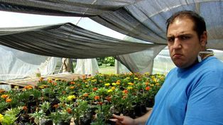 Cosechando el sueño concreto de ser incluido desde el trabajo