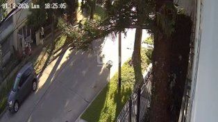 Inseguridad en barrio Siete Jefes: adolescentes cometen robos y preocupan a los vecinos