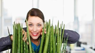 Tener plantas en el trabajo mejora la productividad y reduce el estrés laboral