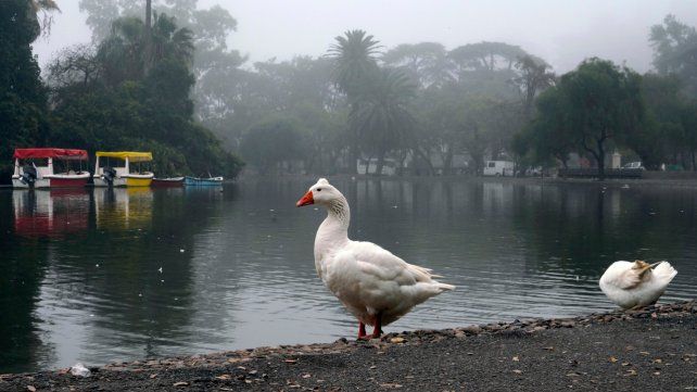 El tiempo en Rosario: continúan las nubes pero empieza a subir la temperatura
