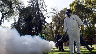 Un total de 35 muertos por dengue este año marca un récord en el país