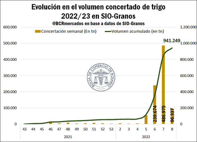 Se aceleran las compras de trigo de la próxima campaña