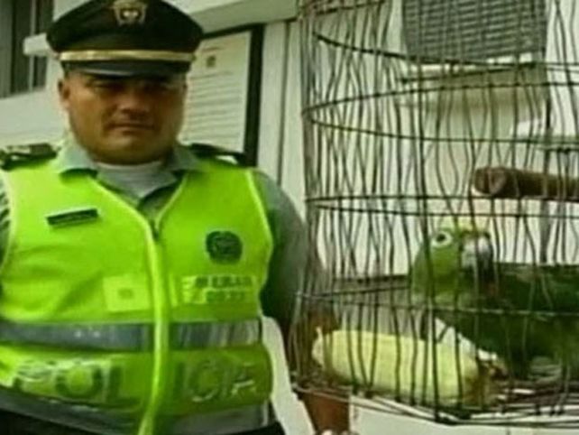 Un loro delató a su dueño en un control de alcoholemia en la ruta
