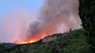 Los incendios forestales en el Parque Los Alerces se inició en enero y aún continúa activo.&nbsp;