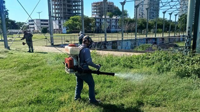 Entre los servicios están las fumigaciones de espacios verdes