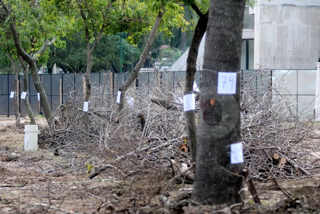 Parque Alberdi: así votó el Concejo la ordenanza en diciembre de 2012