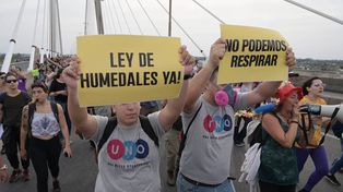 Ley de Humedales: se retomará el proyecto este jueves