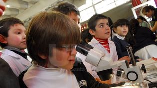 La feria de ciencias se palpita en las escuelas