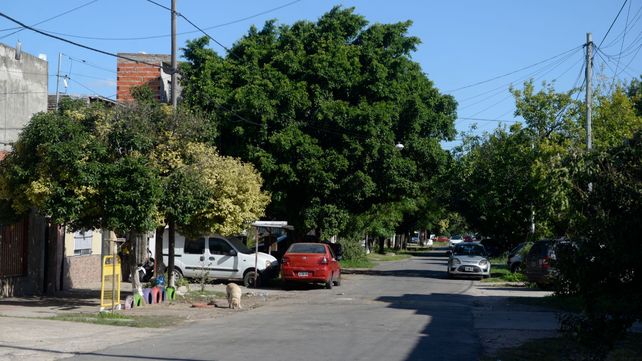 Larrea y French