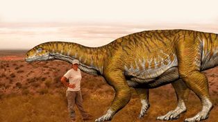 Ahora en San Juan se puede interactuar con dinosaurios de Ischigualasto