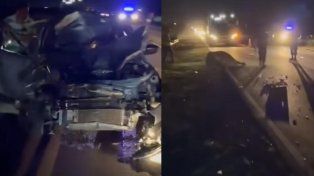 Un auto chocó a un búfalo en la Ruta 12.