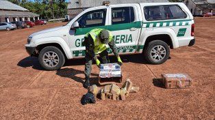 Detenido al retirar una encomienda con 42 kilos de marihuana en Concordia