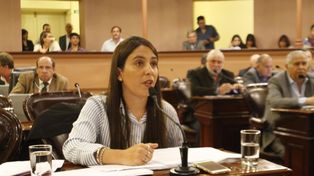Dengue: diputada presentó un pedido de informe para aclarar dudas