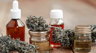Quedó oficializada la Ley de uso del Cannabis Medicinal.