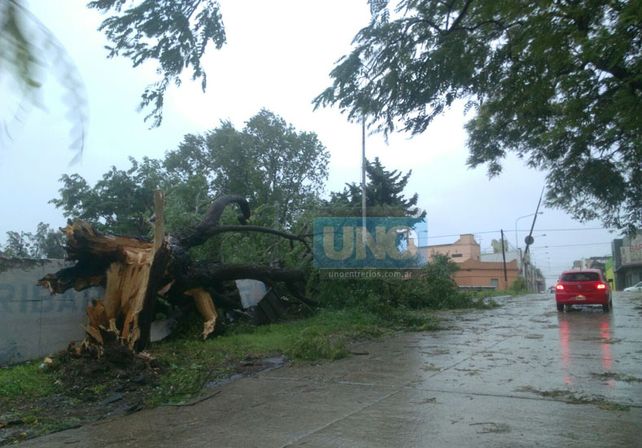Terrible temporal de lluvia y viento generó graves destrozos en Paraná
