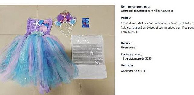 Importaciones. La Cámara del Juguete denunció que ingresaron juguetes importados que fueron prohibidos en Estados Unidos por ser inseguros para niños