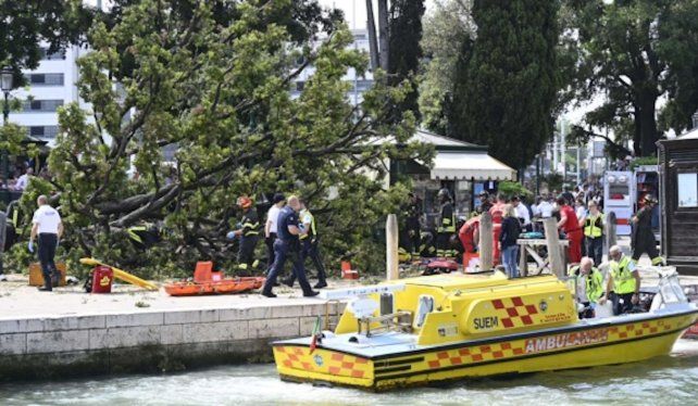 Un árbol cayó en Venecia y dejó doce heridos, uno de ellos en estado grave