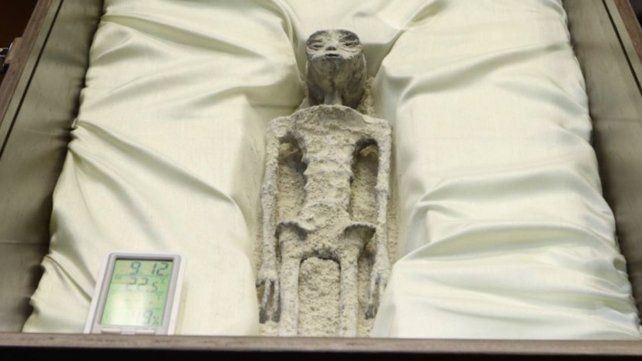 En el Congreso de México presentaron supuestos cuerpos de seres no humanos