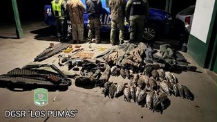 Ofensiva contra la depredación en Santa Fe: secuestraron 15 toneladas de pescado ilegal y desbarataron un tour de caza para franceses