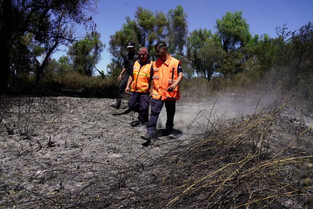 El paso de los incendios por la Isla de los Mástiles, en imágenes