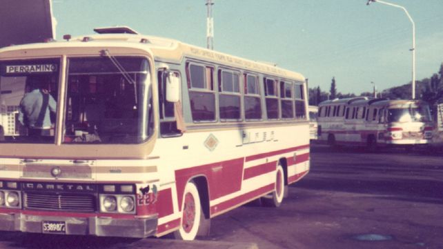 Los busólogos rosarinos cumplen 20 años: bichos raros y son varios