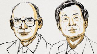 Nobel de Química 2026: el descubrimiento que permitió explicar un misterio de la vida