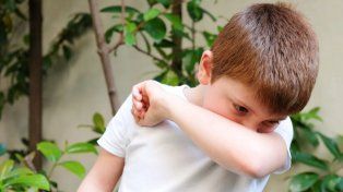 Alerta por el aumento de coqueluche en el país: Entre Ríos reporta casos en 2026
