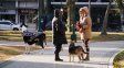 El tiempo en Rosario: un martes con otra mañana muy fría y una tarde agradable