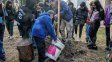 La Municipalidad de Paraná plantó árboles nativos en la Escuela Soler para fortalecer el arbolado urbano