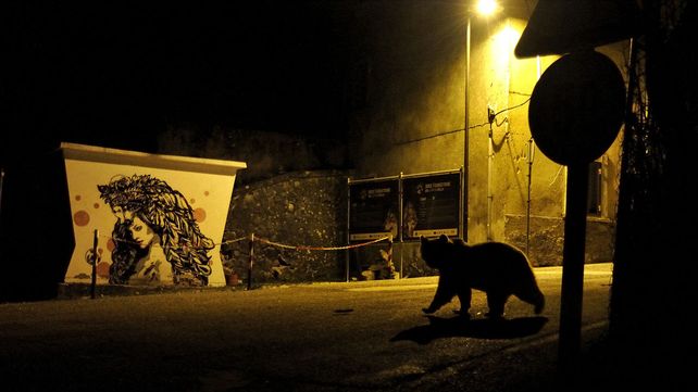 Imágenes ganadoras del premio Fotógrafo de Vida Silvestre 2018