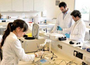 BCRA y Conicet apoyarán proyectos financieros y productivos