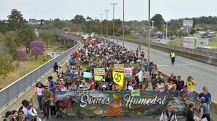 El debate de Ley de Humedales aglomera muchos otros debates. Nos hace discutir cómo legislar y gestionar el territorio para vivir en un ambiente más sano, señaló Julián Monkes (Foto: medios.uner.edu.ar)