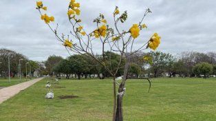 El Vivero Municipal de Santa Fe: una fábrica verde para enriquecer los espacios de la ciudad