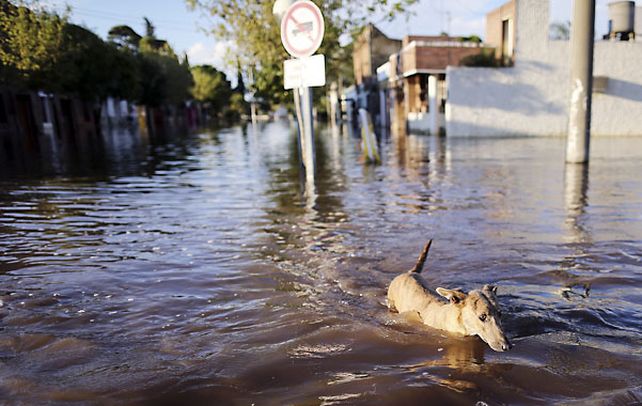 idiazábal. El pueblo tiene unos 1.200 habitantes y un millar de ellos no pueden volver y continúan evacuados.