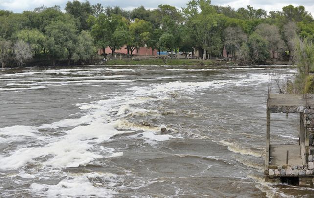 Invasivo. Como en la ciudad de Carcarañá