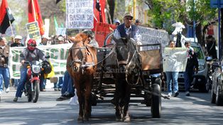 Se realizó la movilización Campesina por el Derecho a la Tierra