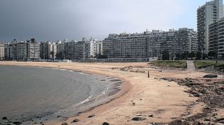Las tres localidades de Uruguay con los mejores terrenos en venta