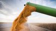 Retenciones: estiman que el agro aportará US$4.613 millones en 2026