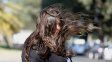 El tiempo en Rosario: el Día de la Primavera llega con alerta amarillo