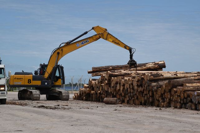 Anuncian que durante 2019 saldrán más de 12 buques con madera desde el Puerto Ibicuy