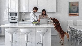 Mudarse con mascotas: qué hay que saber antes de firmar